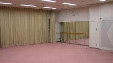 壁に大きな鏡が付いた広い部屋の写真