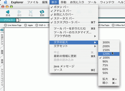 Internet Explorer 5.2で文字の拡大をする画面のスクリーンショット