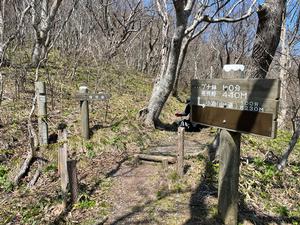 山道途中に立っている展望台への案内看板の写真