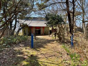 木々の先に見える、尾崎神社の写真