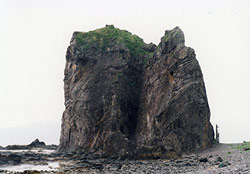 平らな地面にまっすぐと岩が切り立っている景色の写真