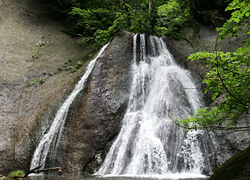 木々が生えた崖肌から、勢いよく滝の水が流れ落ちてくる様子を見上げる風景の不動の滝の写真