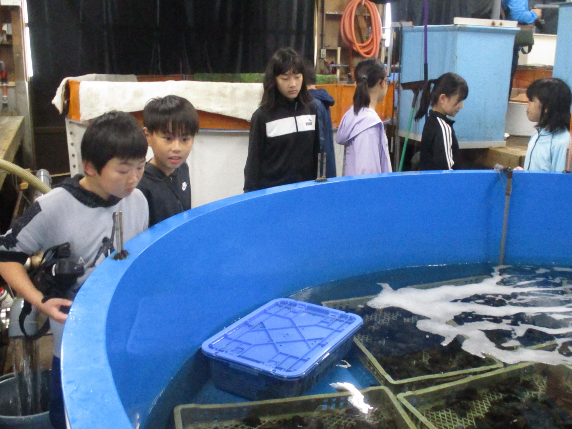 さかなと海ふれあい3