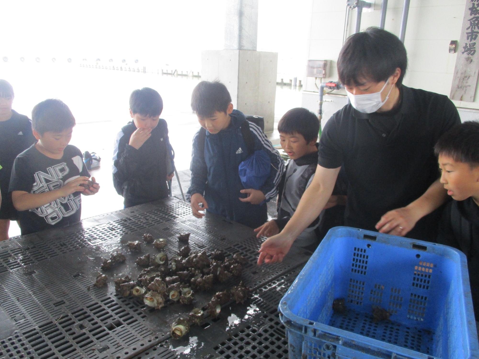 さかなと海ふれあい4