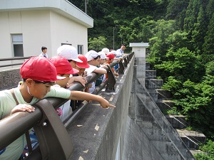 小泊ダム見学1