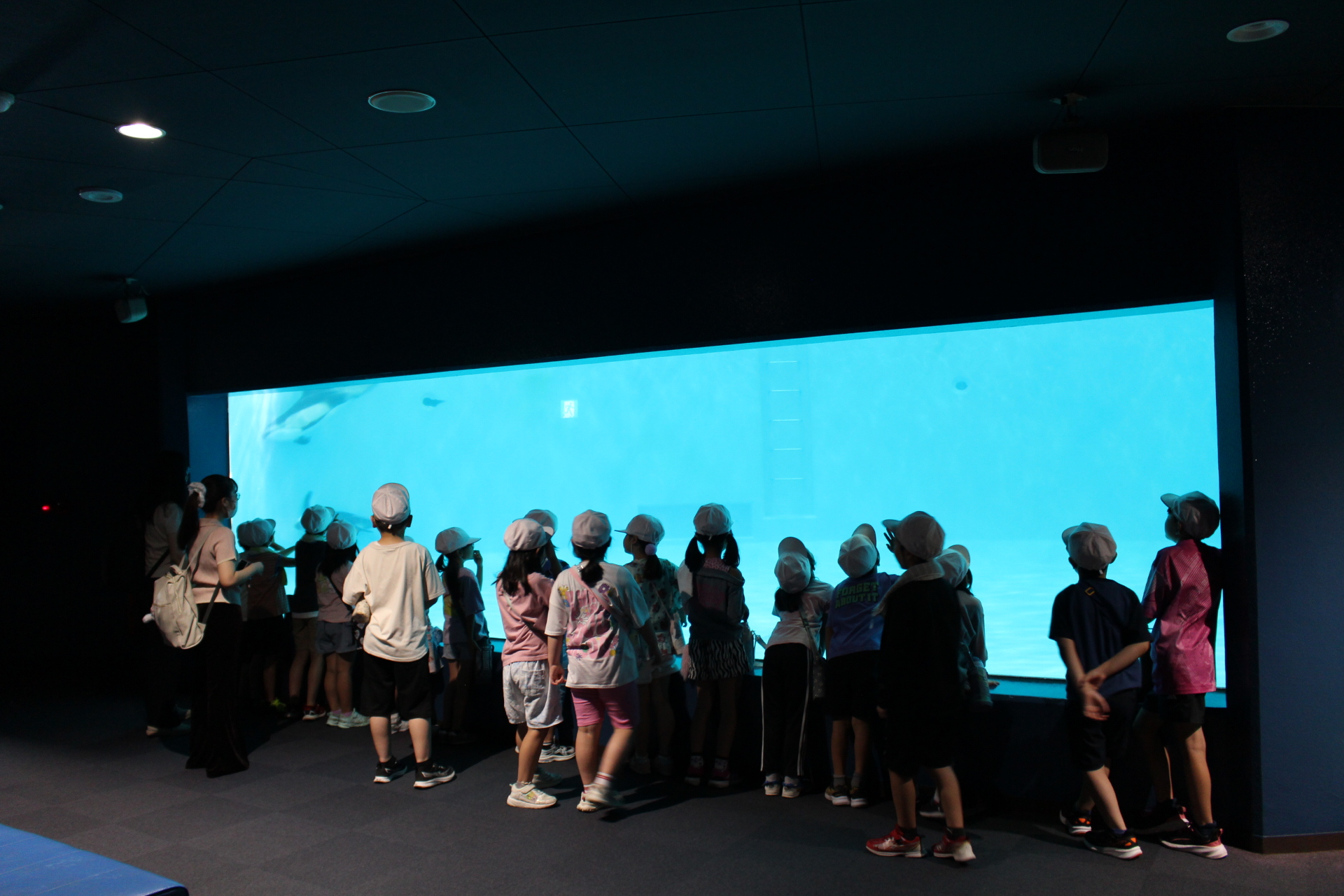 2年水族館1