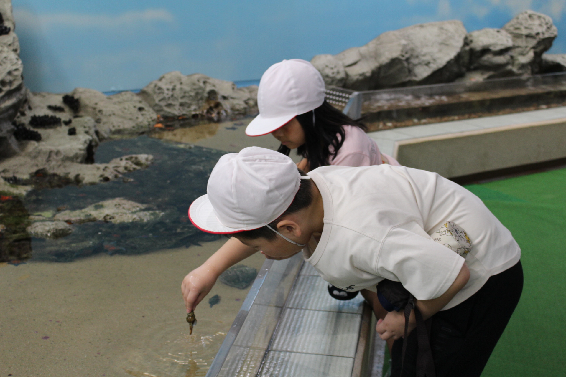 2年水族館2