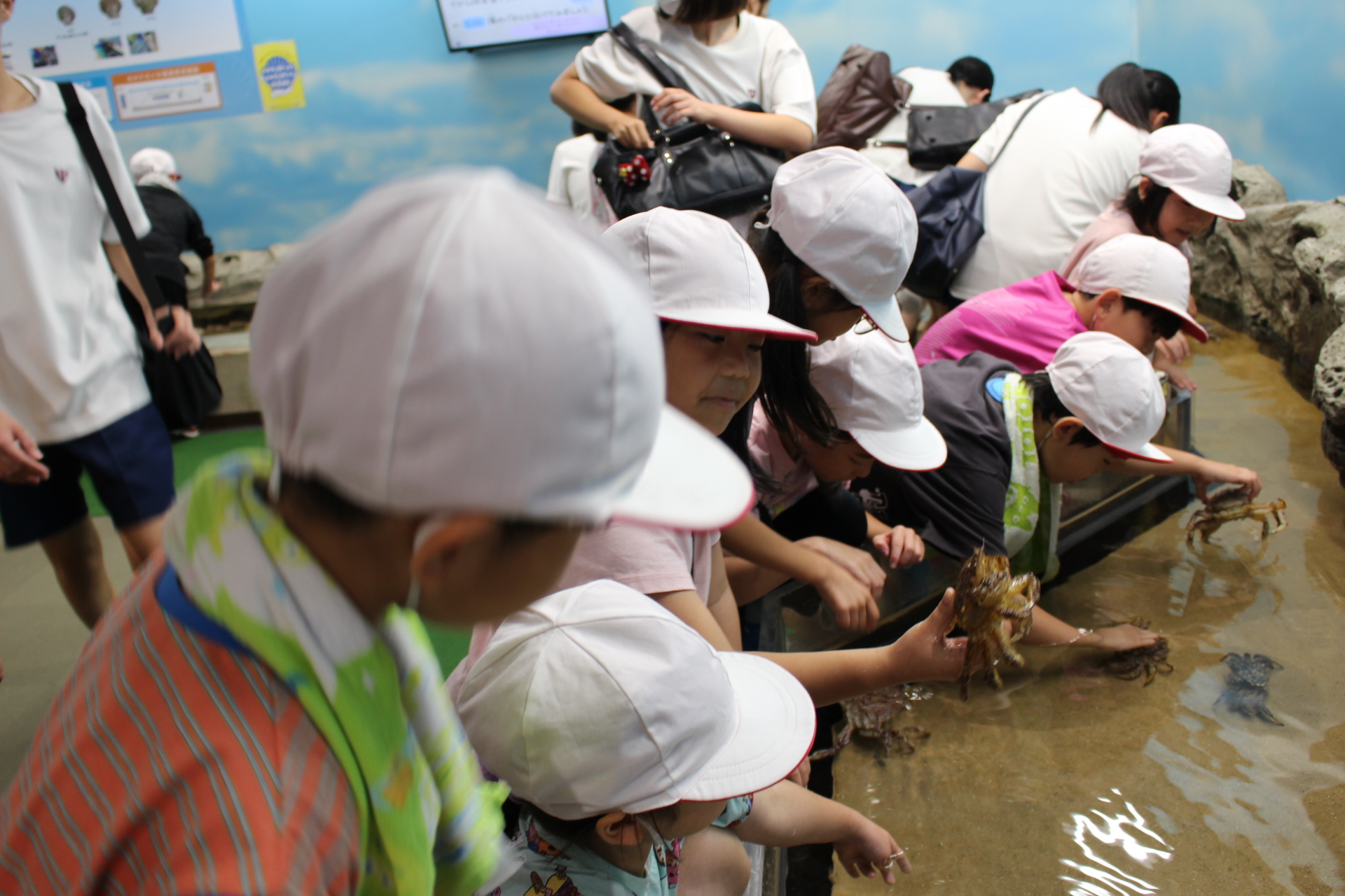 2年水族館3