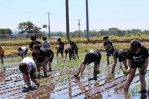 田植え2