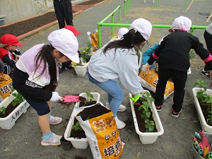 人権の花1