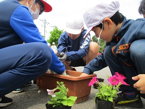 花いっぱい運動1