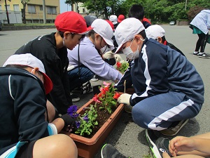 花いっぱい運動4