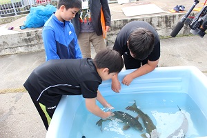 水と大地の探検隊5