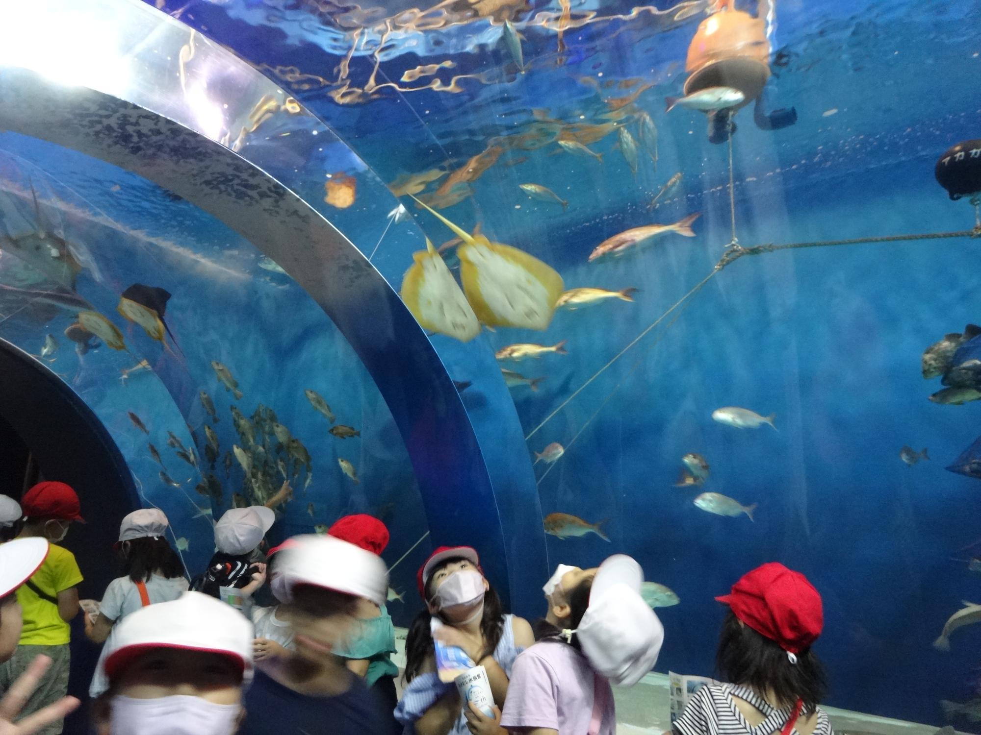 トンネル