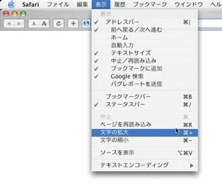 Safariで文字の拡大をする画面のスクリーンショット