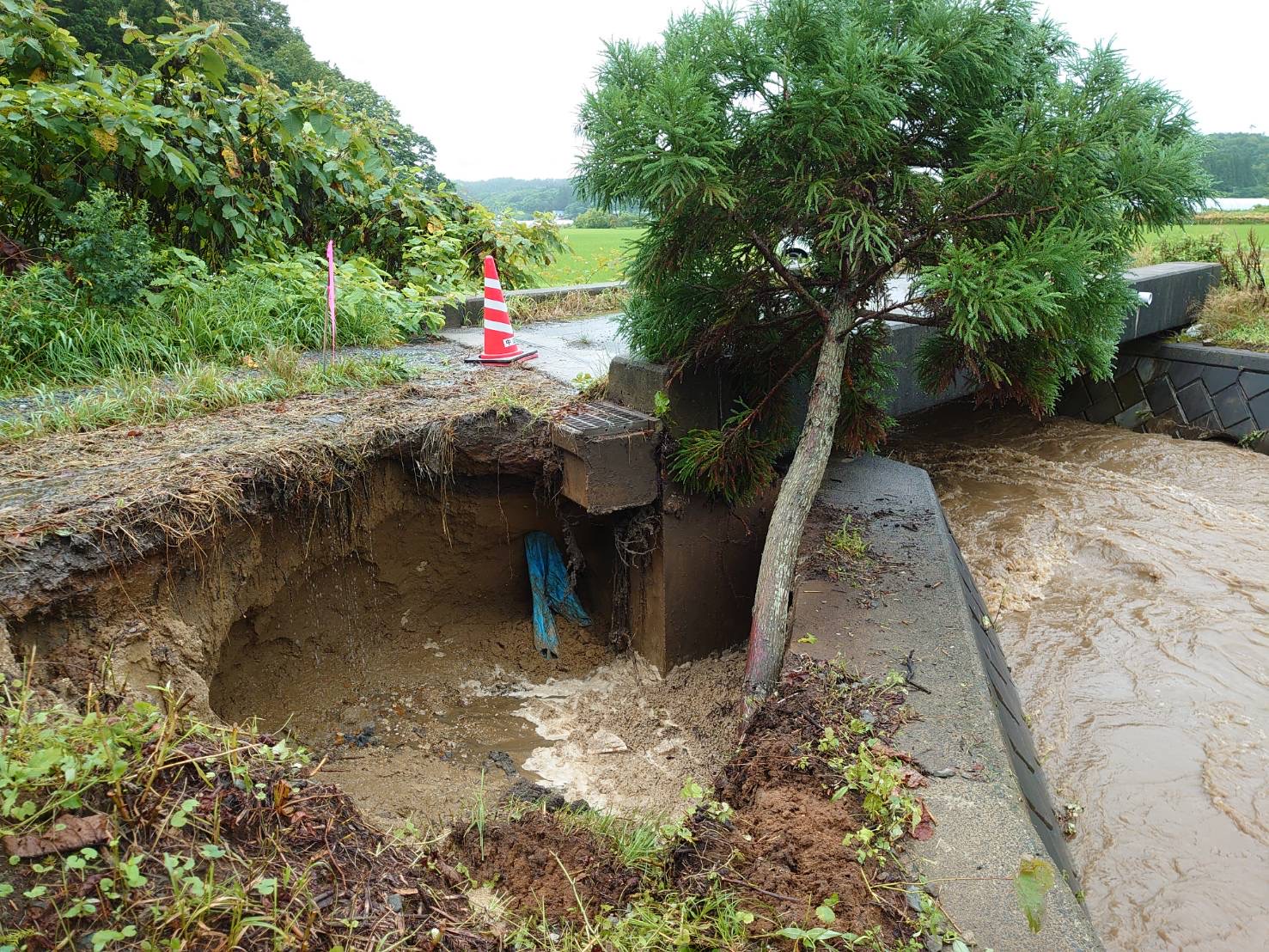 道路が土砂崩れにより滑落し、茶色い川の水が流れ込み、大木が橋の上に倒れている写真
