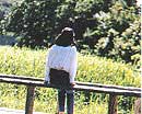 草原の木のベンチに腰掛けている人の後ろ姿の写真