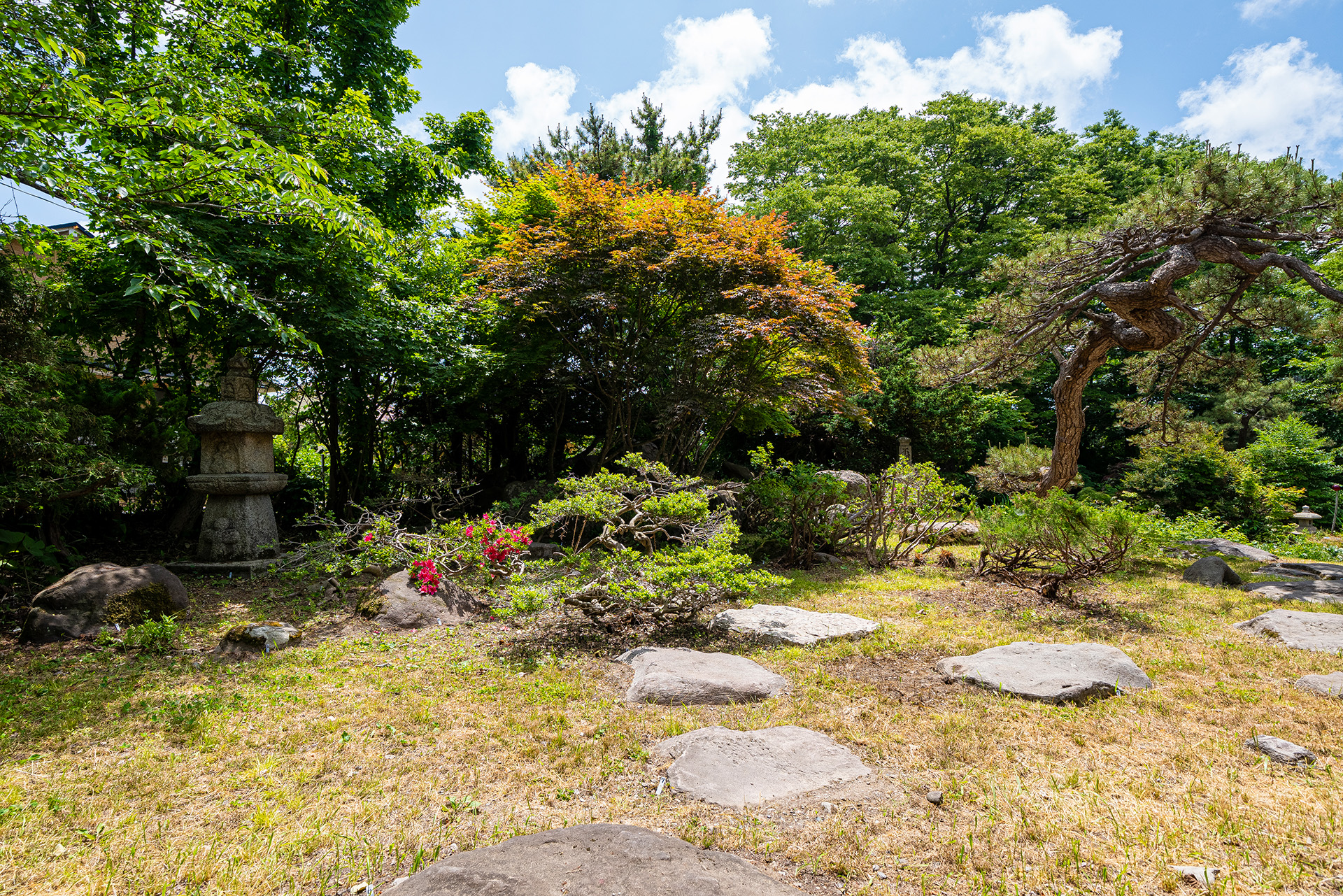 宮越家 離れ/庭園 奥津軽屈指の名庭園