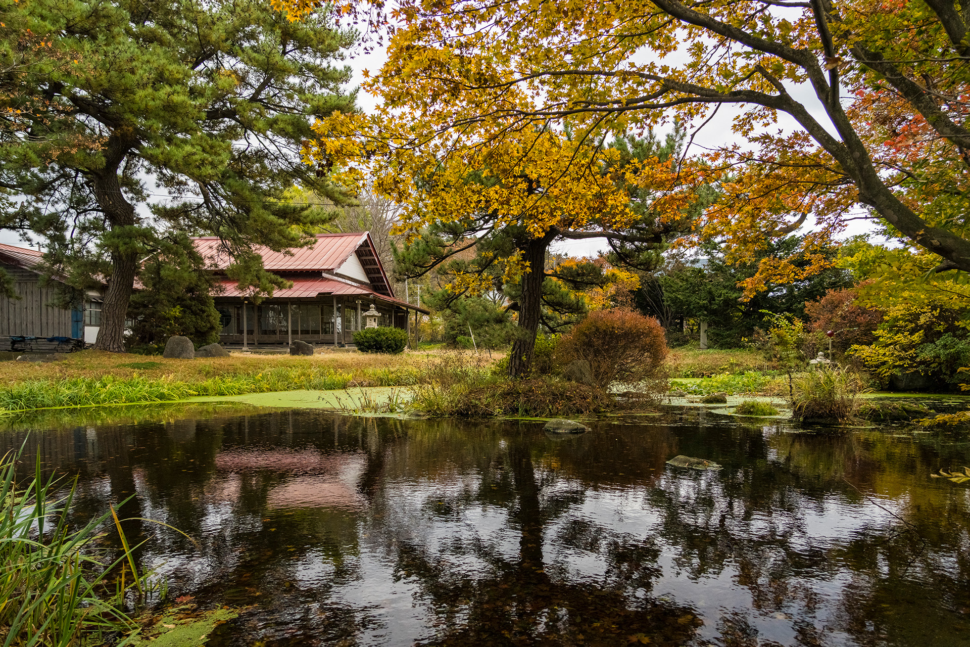 離宮の庭 旧芝離宮恩賜庭園 (@Kyushibarikyu) / X