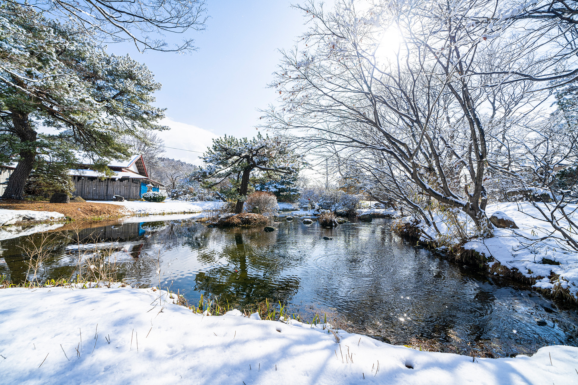 宮越家 離れ/庭園 宮越家の四季